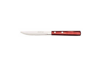 Нож столовый Tramontina Polywood 20 см (21101/474): фото