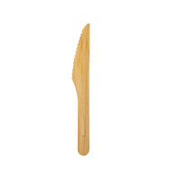 Нож одноразовый 16,5 см, 100 шт (81211694)