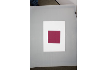 Салфетки двухслойные, бордовые, 24*24 см, 250 шт (81400059): фото