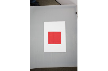 Салфетки двухслойные, красные, 24*24 см, 250 шт (81400060): фото