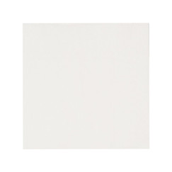Салфетки однослойные, белые, однослойные, 24*24 см, 400 шт (81003900): фото