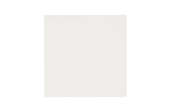 Салфетки однослойные, белые, однослойные, 24*24 см, 400 шт (81003900): фото