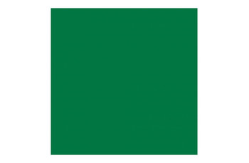 Салфетка Airlaid зеленая, 40*40 см, 50 шт (81210341): фото