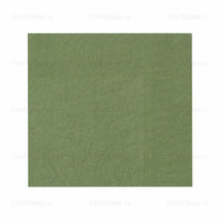 Салфетки двухслойные, зеленые, 24*24 см, 250 шт (81400063)