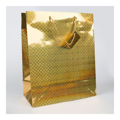 Пакет подарочный, 26,4*13,6*32,7 см, голография-золото (30000637): фото