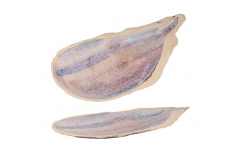 Блюдо овальное 51,8*23,5 см h3,5 см Light Purple Shell Northern Blue Frutti di Mare P.L.: фото