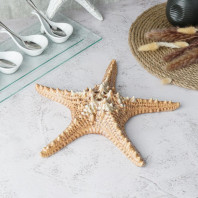 Блюдо для подачи 28*28 см h6 см 100 мл Звезда Pearl Starfish Frutti di Mare P.L.